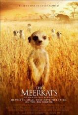 【左右半宽】狐獴家庭 The Meerkats