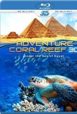 【3D原盘】埃及海底珊瑚礁探险之旅 Adventure.Coral.Reef.Under.The.Sea.Of.Egypt