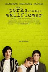 壁花少年 The Perks of Being a Wallflower