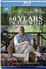 BBC 大卫·爱登堡 野外探索60年 BBC - Attenborough: 60 Years in the Wild