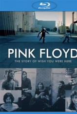平克·弗洛伊德：希望你在这里 Pink Floyd The Story of Wish You Were Here