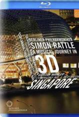 【3D原盘】柏林爱乐乐团新加坡音乐会 Berliner Philharmoniker The Singapore Concert