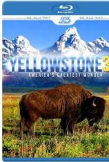 世界自然遗产 黄石国家公园 World.Natural.Heritage.USA.3D.Yellowstone.Nationalpark