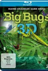 昆虫 Big Bugs