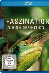 高清的魅力 Faszination in High Definition