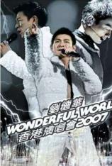 刘德华：2007香港Wonderful World演唱会 