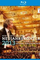 2013年维也纳新年音乐会 Vienna Philharmonic New Years Concert 2013