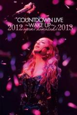 滨崎步 2012-2013跨年演唱会 Ayumi Hamasaki COUNTDOWN LIVE 2012-2013