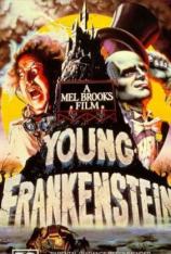 喜剧大师九碟收藏版之8 新科学怪人 Young Frankenstein