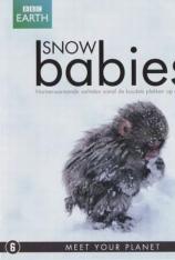 BBC：雪地之婴 Snow Babies