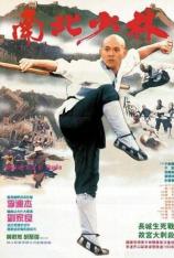 南北少林 Shaolin Temple 3: Martial Arts of Shaolin