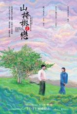 山楂树之恋 Under the Hawthorn Tree