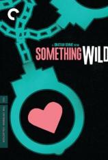 散弹露露 Something Wild