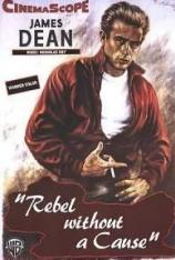 无因的反叛 Rebel Without a Cause