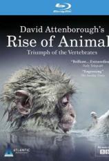 BBC：大卫·爱登堡动物之崛起-脊椎动物的胜利 “Rise of Animals: Triumph of the Vertebrates“
