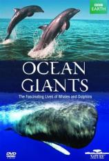 海洋巨物 "Ocean Giants"