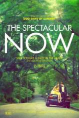 好景当前 The Spectacular Now