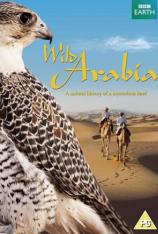 BBC：狂野阿拉伯 "Wild Arabia"