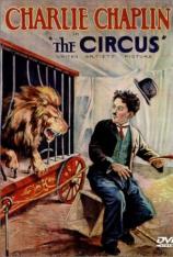 马戏团 The Circus