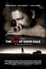 大卫·戈尔的一生 The Life of David Gale