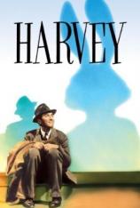 我的朋友叫哈维 Harvey