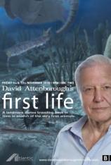 BBC：生命的起源 "First Life"