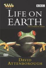 BBC：生命的进化 "Life on Earth"