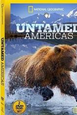 野性的美洲 "Untamed Americas"