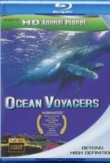 鲸奇之旅 Ocean Voyagers