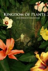 【3D原盘】BBC：植物王国 "Kingdom of Plants 3D"